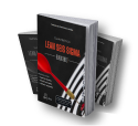 Guia Prático Lean Seis Sigma Black Belt